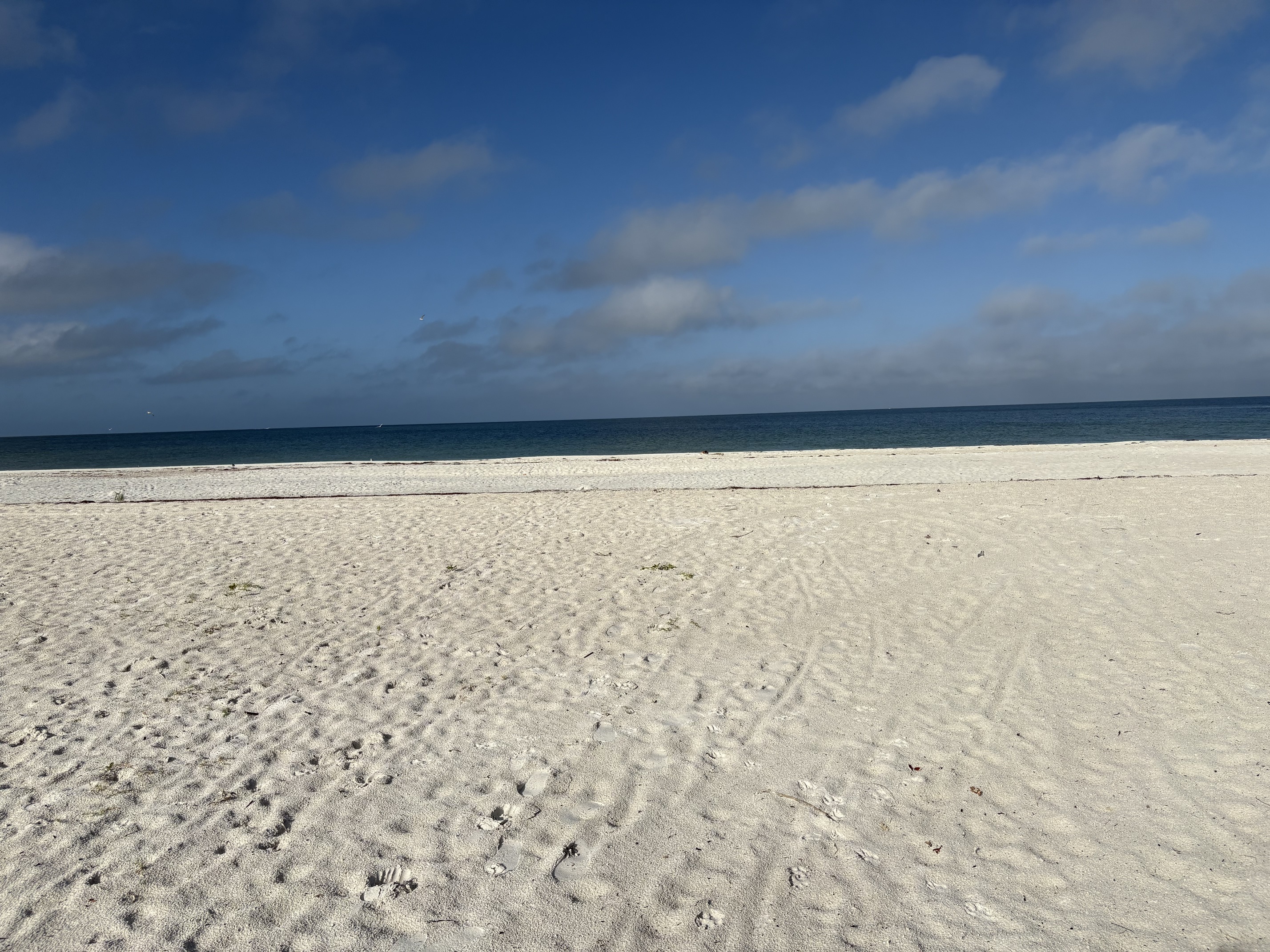 Clearwater Beach, Florida, 33767, United States, 2 Bedrooms Bedrooms, ,2 BathroomsBathrooms,Residential,For Sale,1981499