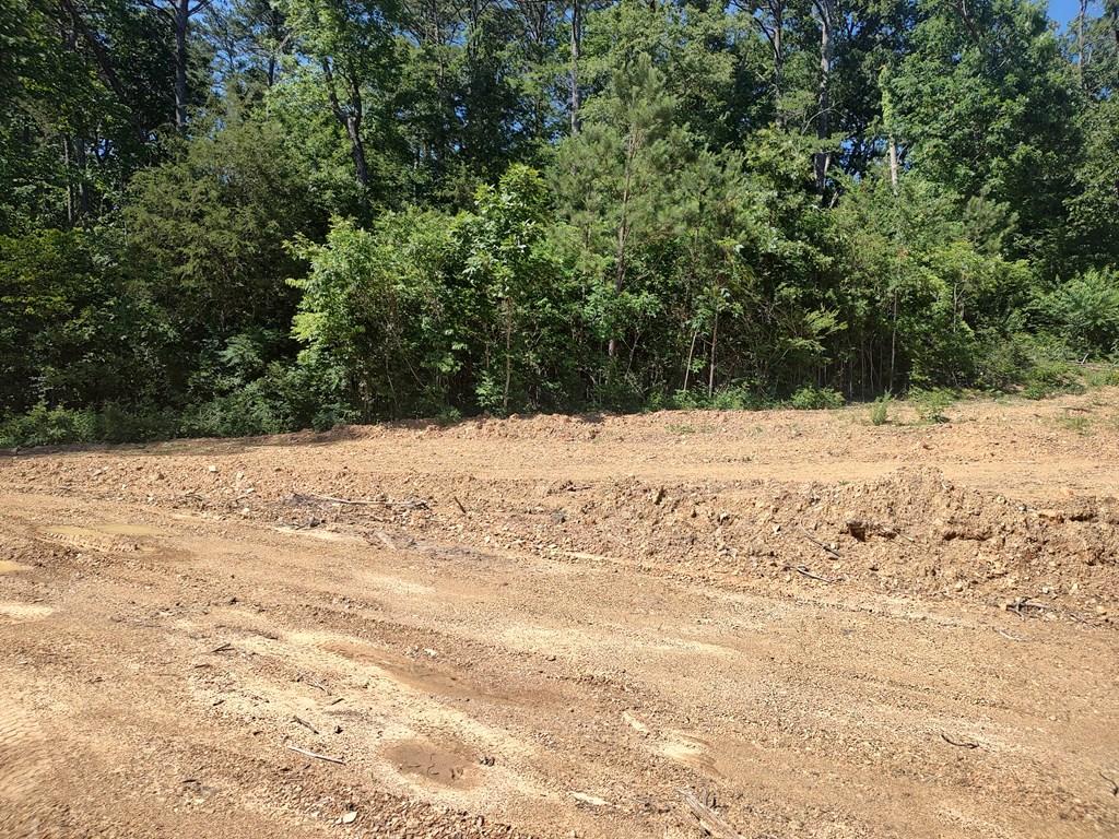 CHATSWORTH, Georgia, 30705, United States, ,Residential,For Sale,1827653