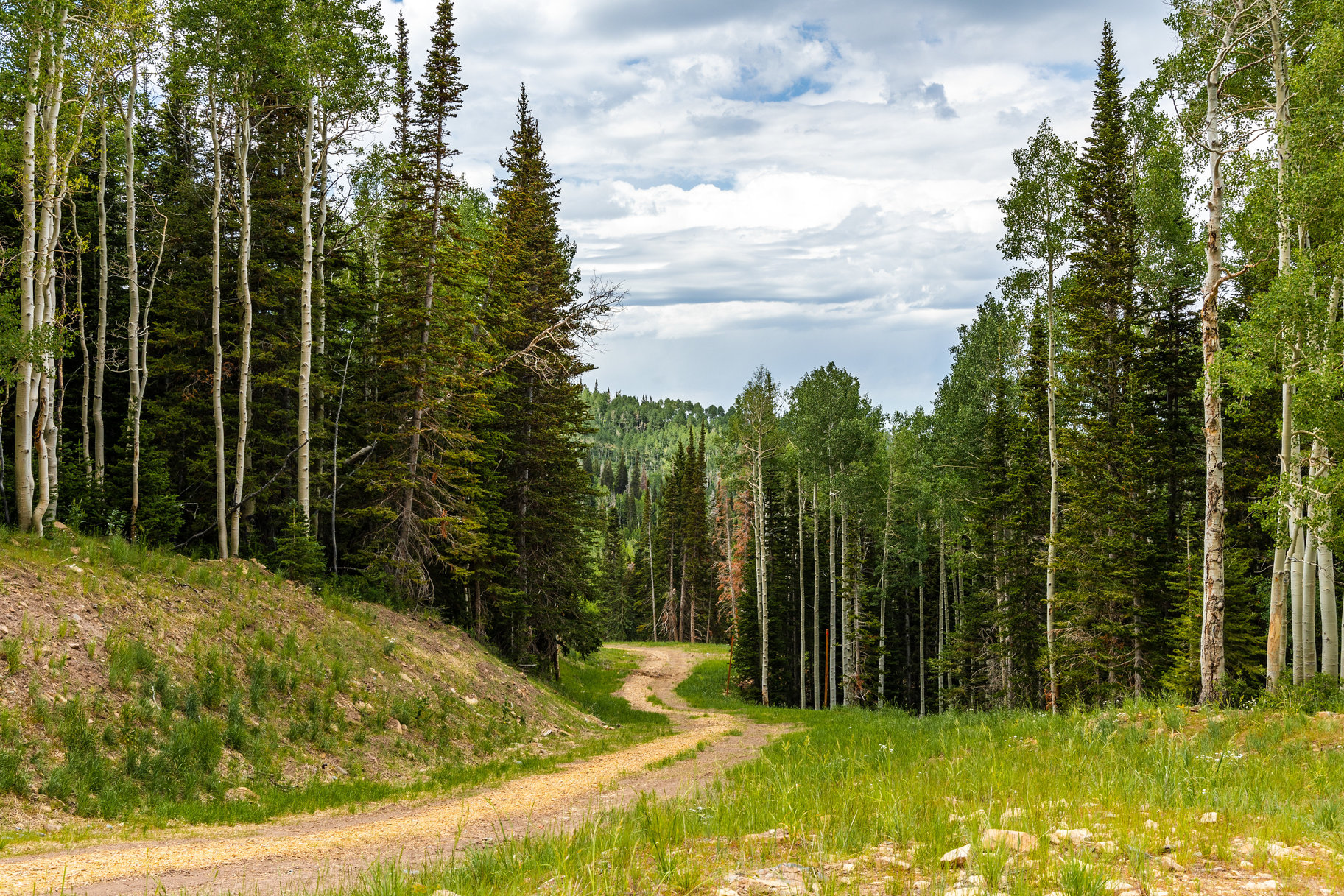  Incredible 28 Acre Estate Lot in the Colony at White Pine Canyon - 物件實景