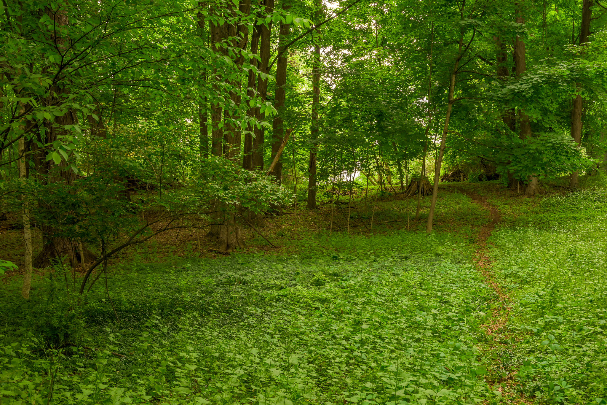  24 Albany Avenue, Kinderhook, NY 12106 - 物件實景