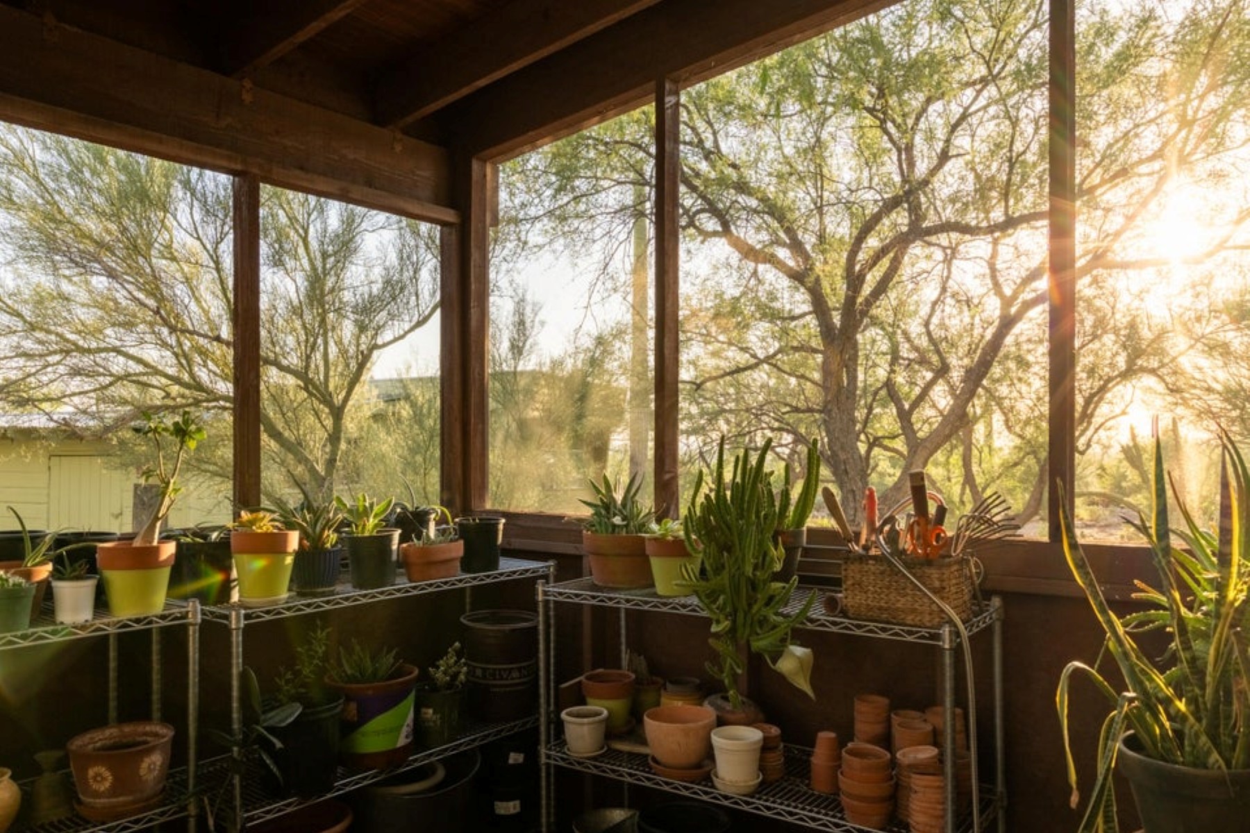  13013 E Redington Road¦Tucson, AZ - 物件實景
