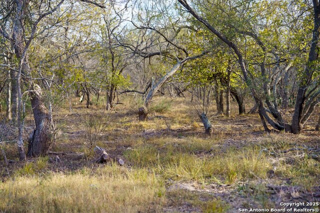 Other, 11111, United States, ,Land,For Sale,1951420