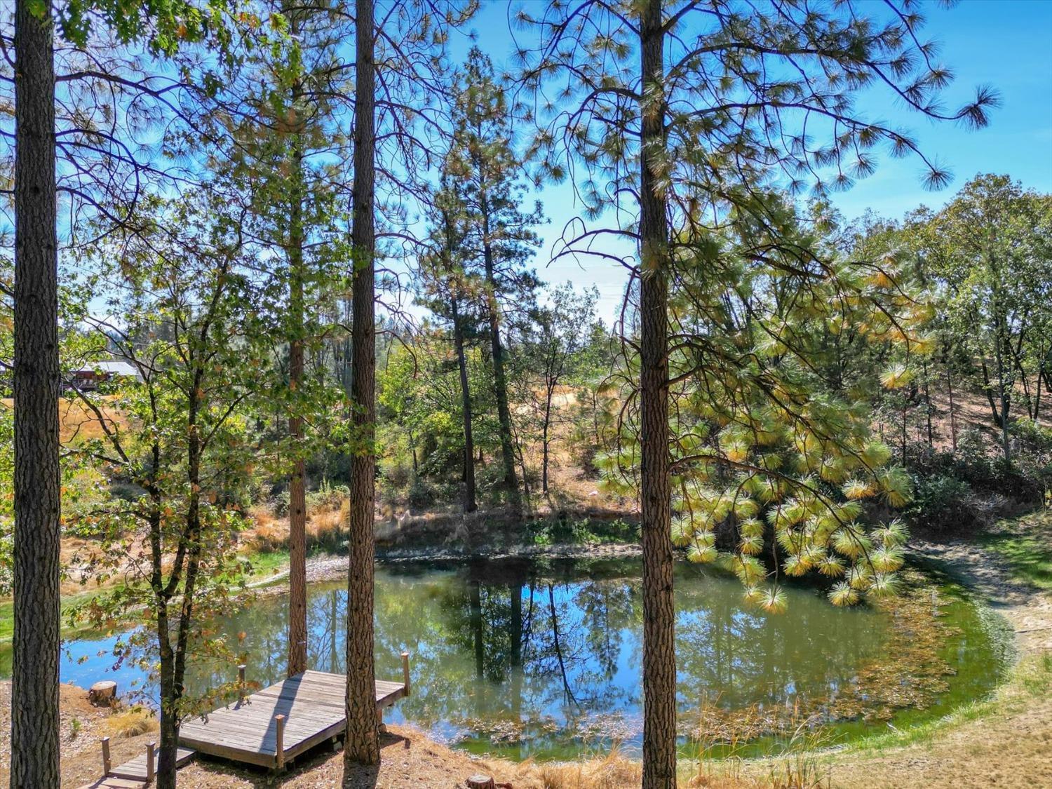 Grass Valley, California, 95945, United States, 4 Bedrooms Bedrooms, ,4 BathroomsBathrooms,Residential,For Sale,1914072