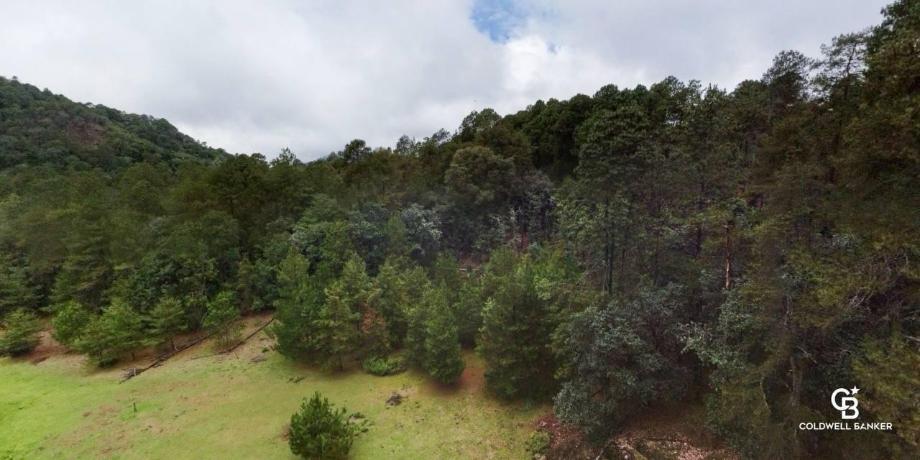 Valle de Bravo, Estado de méxico, 51200, Mexico, 1 Bedroom Bedrooms, ,Residential,For Sale,1721616