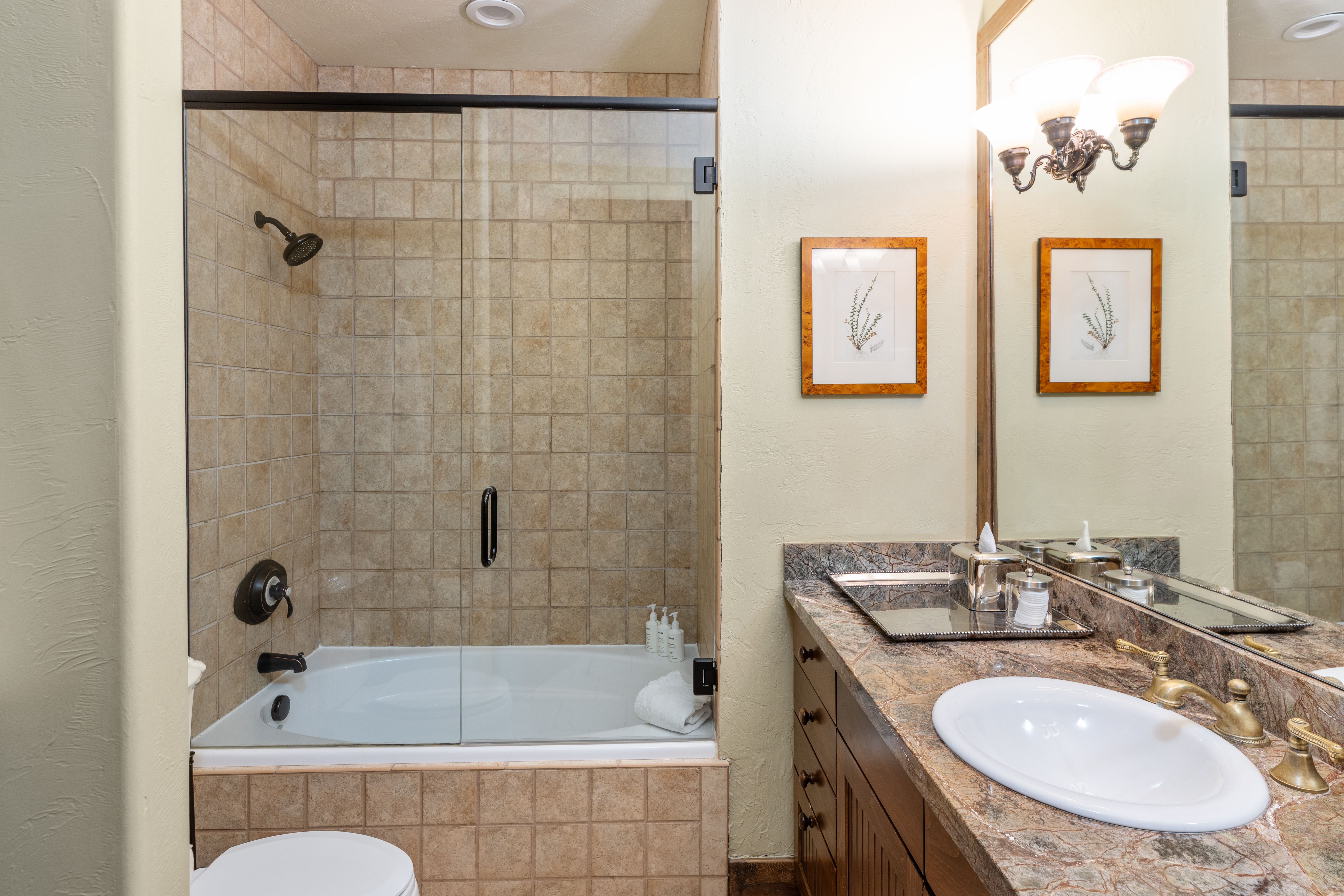  Luxury Residence With Spectacular South Facing Views of Telluride Ski Resort - 物件實景