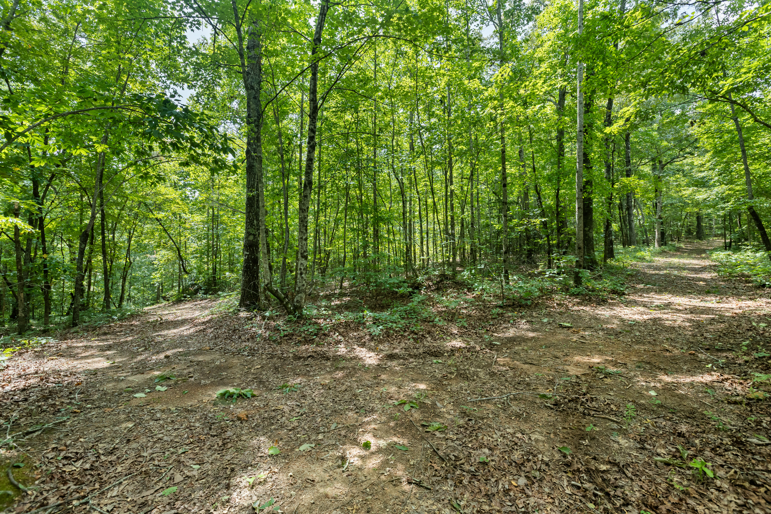  3765 South Carolina 11, Pickens, SC 29671 - 物件實景