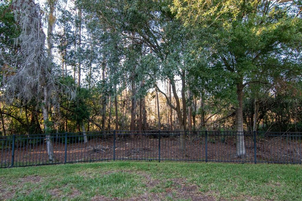 Land O Lakes, Florida, 34638, United States, 5 Bedrooms Bedrooms, ,4 BathroomsBathrooms,Residential,For Sale,2003047