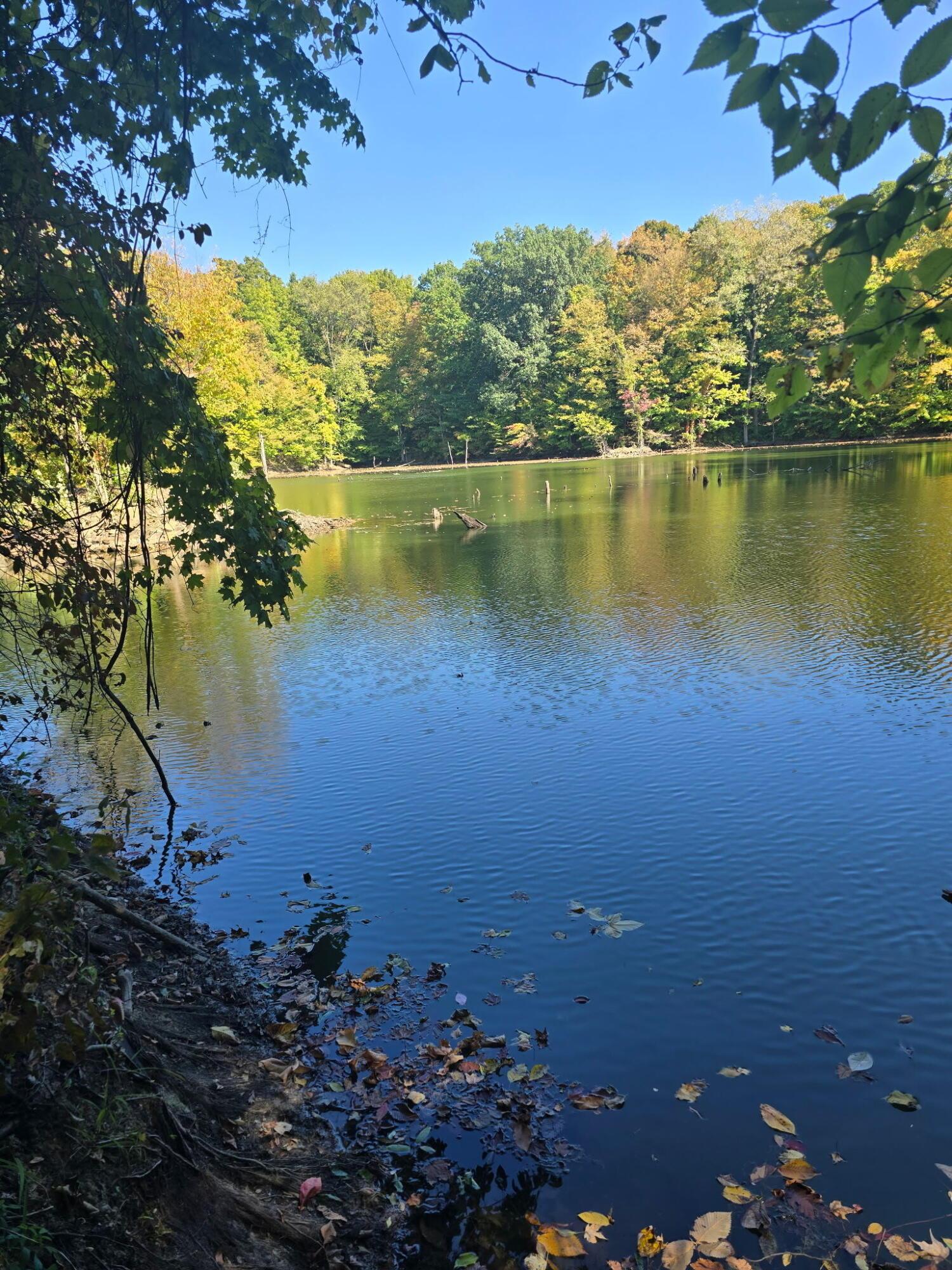 Cardington, Ohio, 43315, United States, 3 Bedrooms Bedrooms, ,2 BathroomsBathrooms,Residential,For Sale,1983191